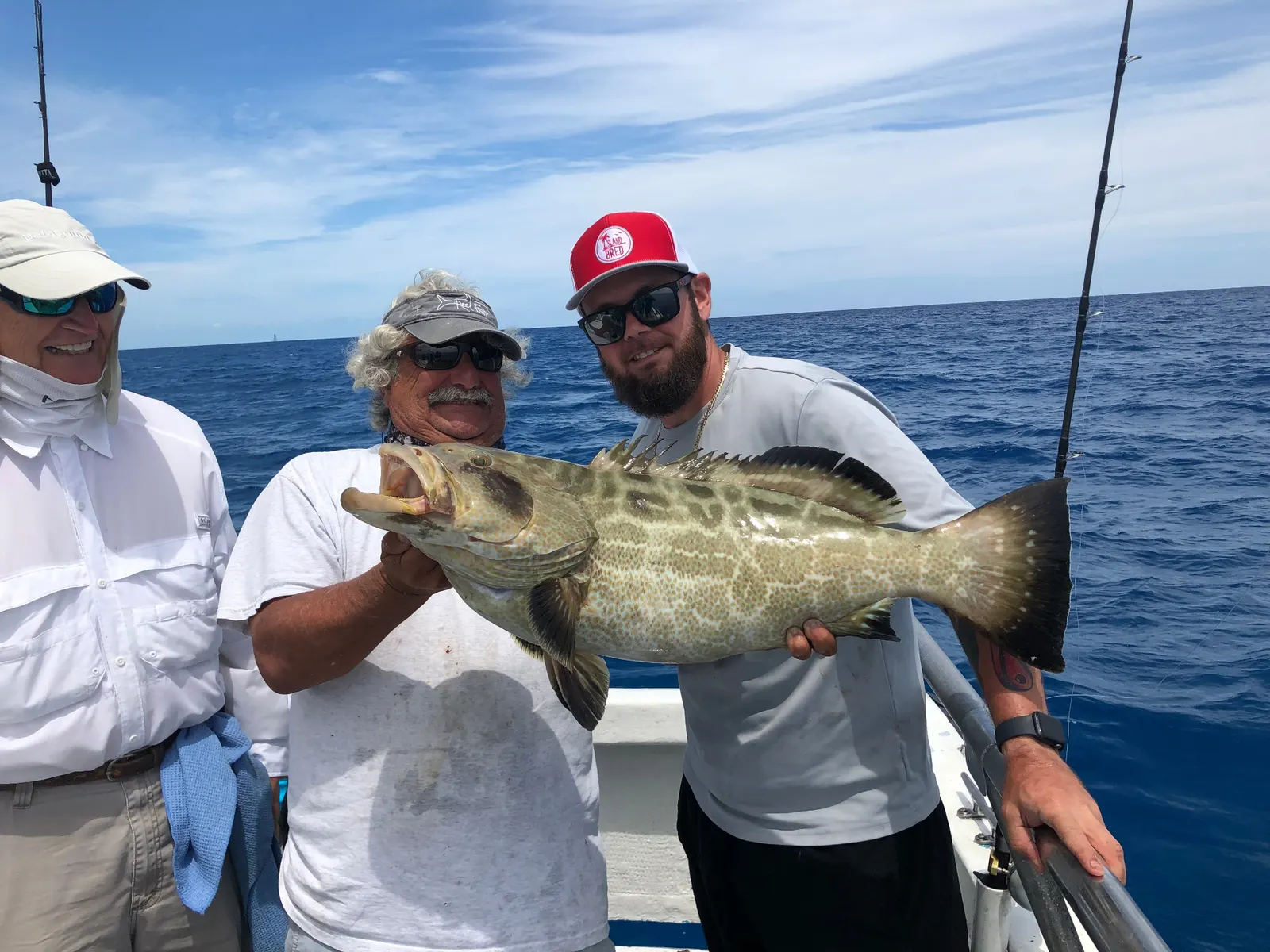 Black grouper caught aboard Gulfstream Fishing in Key West